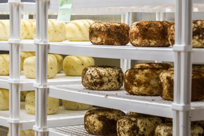 Разницу между сыром и сырным продуктом объяснил новосибирцам Максим Кошелев