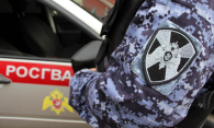 Учебную гранату нашли в детском лагере под Новосибирском
