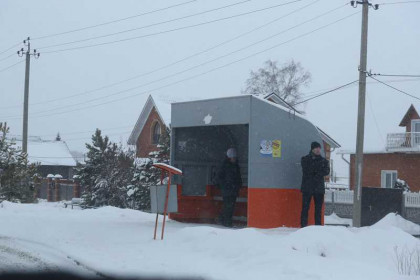 Младенец в коробке: СКР завел дело о покушении под Новосибирском