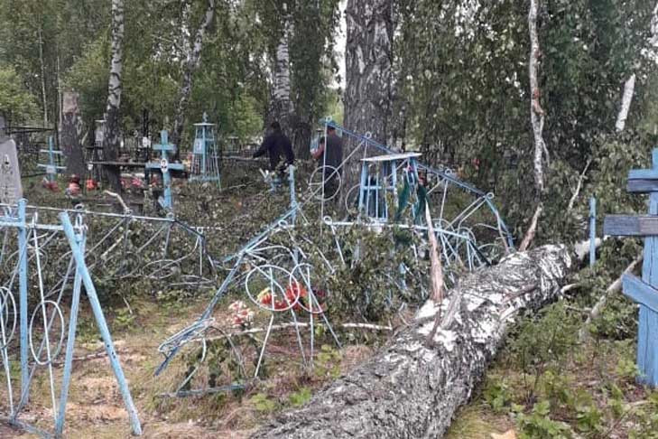 Погром на кладбище и транспортный коллапс: последствия урагана в Новосибирской области
