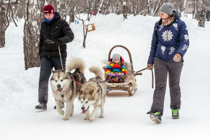Топ-10 зимних развлечений в Новосибирске и пригороде – куда отправиться на каникулах