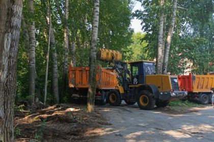 В Кировском районе Новосибирска расчистили две нелегальные свалки
