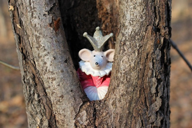 Кокаин в дупле дерева нашел житель Омска в Новосибирске