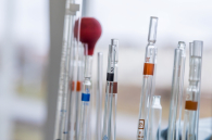 В 2025 году благодаря диспансеризации выявили 1352 случая рака на ранних стадиях в регионе