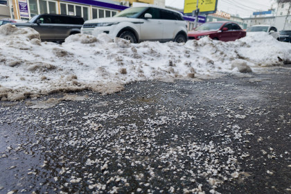 Мэр Новосибирска заявил об отказе от Бионорда