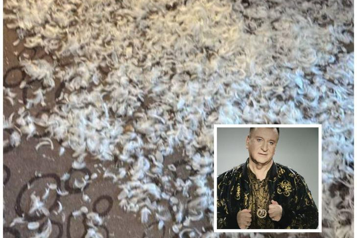 Огромный штраф из-за матраса с перьями заплатил певец Пенкин в Новосибирске