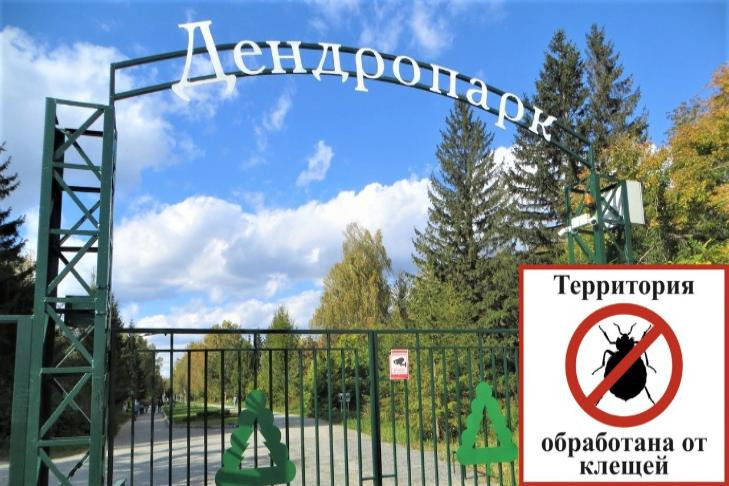 Новосибирцам запретили ходить в Дендропарк 18 и 19 мая