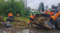 За неделю новосибирские дорожники вывезли 1,6 тысячи кубометров мусора