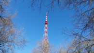 Телебашню в Новосибирске подсветят в честь Дня Победы