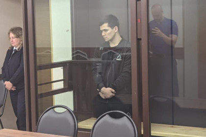 Четырнадцать лет за подготовку теракта дали мигранту-таксисту в Новосибирске