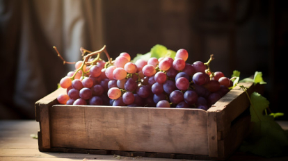 Россельхознадзор изъял 94 тонны винограда и томатов с прилавков Новосибирска