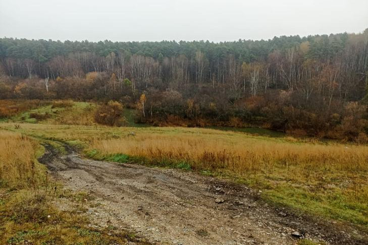 Поиски пропавшей месяц назад 19-летней девушки прекратили в Тогучине