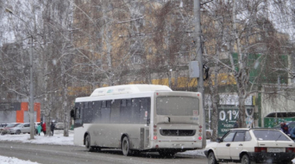 Снежный шторм накроет Новосибирск 16 декабря