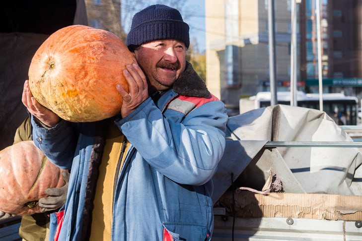 Дату потепления до +6 градусов после морозов назвали синоптики Новосибирска