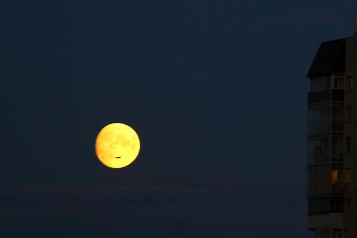 Огромная оранжевая Луна появится над Новосибирском 14 июня