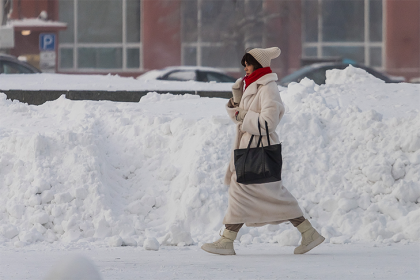 Потеплеет до -4: синоптик Анна Лапчик о погоде в Новосибирске до 1 февраля