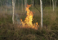 Старт пожароопасного сезона объявлен в Кочковском районе