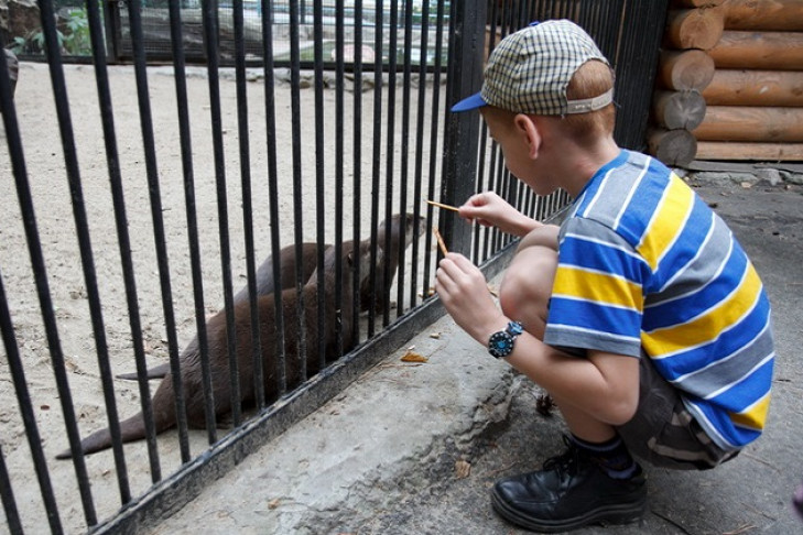 Новосибирский зоопарк стал работать на час меньше