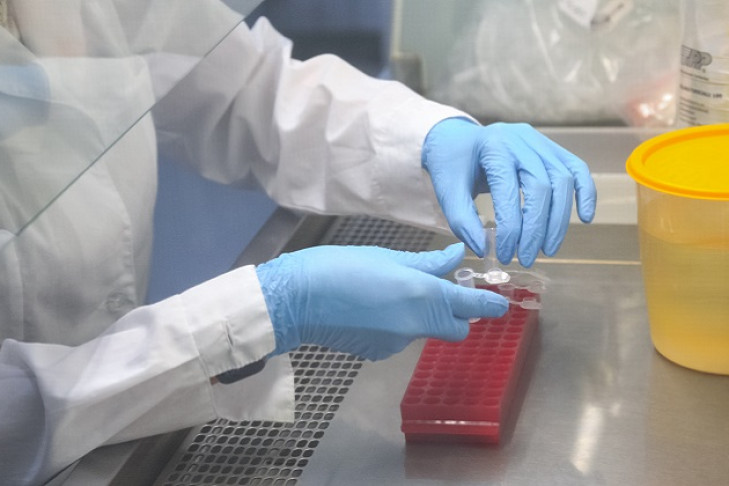 Протестируют на коронавирус сотрудников избиркомов в Новосибирской области