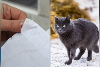 Рукописи не горят: мистику Булгакова инсценировали работники почты под Новосибирском