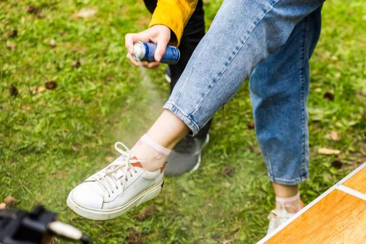 Клещи «ушли в отпуск» и перестали кусать жителей Новосибирской области