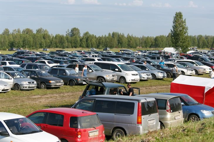 Новосибирские автолюбители признались в покупке водительских прав