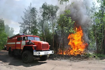 Суд обязал лесхоз приобрести противопожарную технику