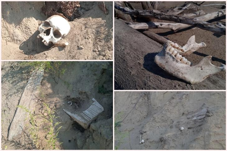 Детские черепа в гробах-колодах нашли туристы на острове Чингис