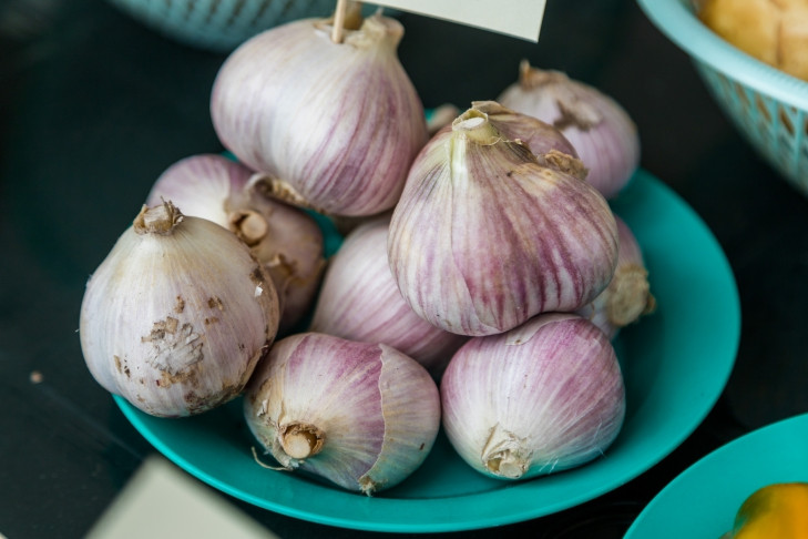 Точный срок посадки озимого чеснока назвал новосибирцам агроном Мармулев