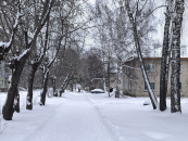 Морозы до -34 градусов с 8 декабря прогнозируют в Новосибирской области