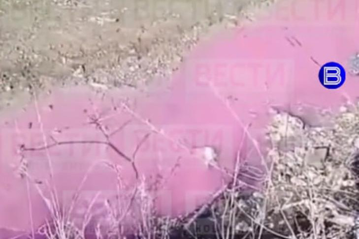 Сиреневая река после слива неизвестной жидкости появилась в Новосибирске