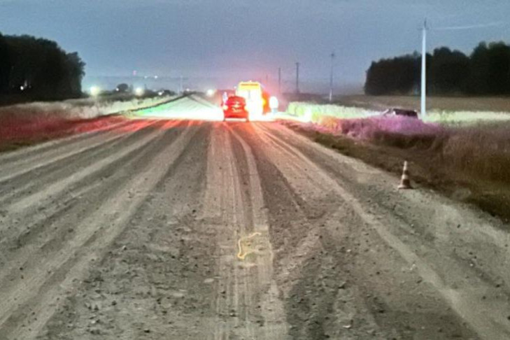 Водитель Honda CR-V погиб в ночном ДТП под Новосибирском