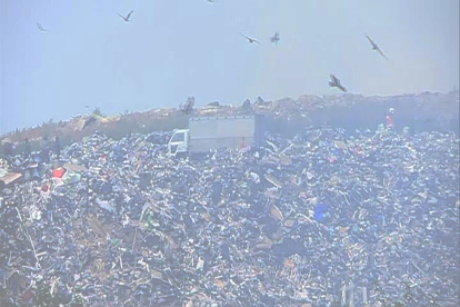 В Новосибирской области продлен срок работы Левобережной свалки