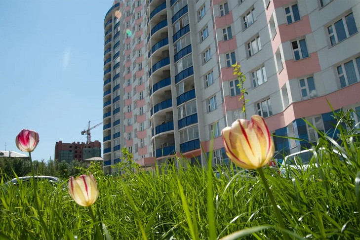 Сухую и жаркую погоду ждут синоптики на выходных в Новосибирске