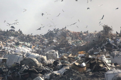 Семь мусорных полигонов появится в Новосибирской области