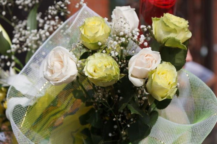 Новосибирских молодоженов предупредили о фотомошенниках