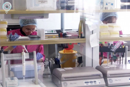 Выявлять антитела у младенцев позволит новосибирская тест-система
