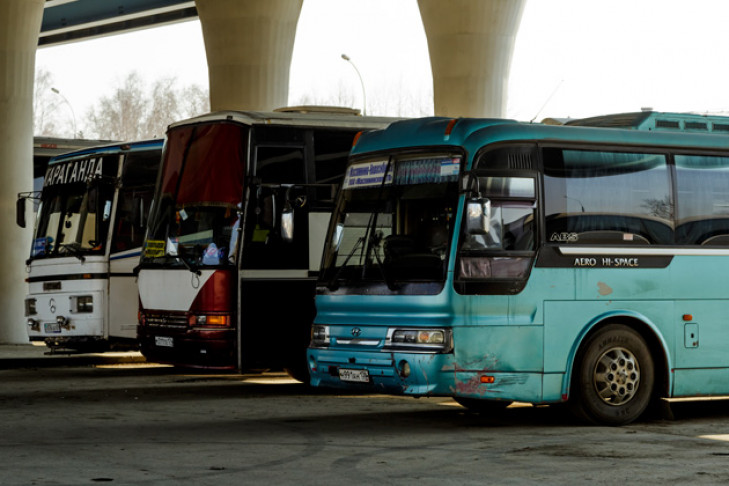 Рейсы междугородных автобусов отменены в Новосибирской области
