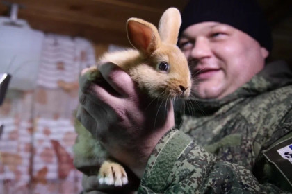 От фронта до фермы: как ветеран СВО из Искитима занялся семейным кролиководством