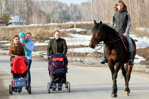 Госдума поддержала введение универсального пособия для беременных россиянок
