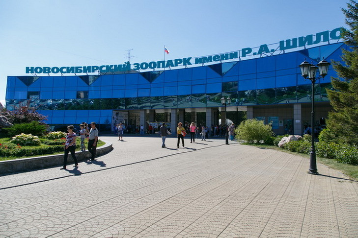 Зоопарк в Новосибирске продлил время работы летом-2022