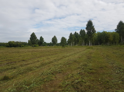 Специалистам лесного хозяйства поднимут зарплату до 80 тысяч рублей в Новосибирской области