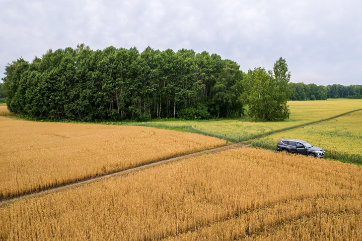 Водителя лишили прав за гонки по полю под Новосибирском