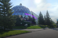 Кафе «Шарик» в Новосибирске пока не будут сносить