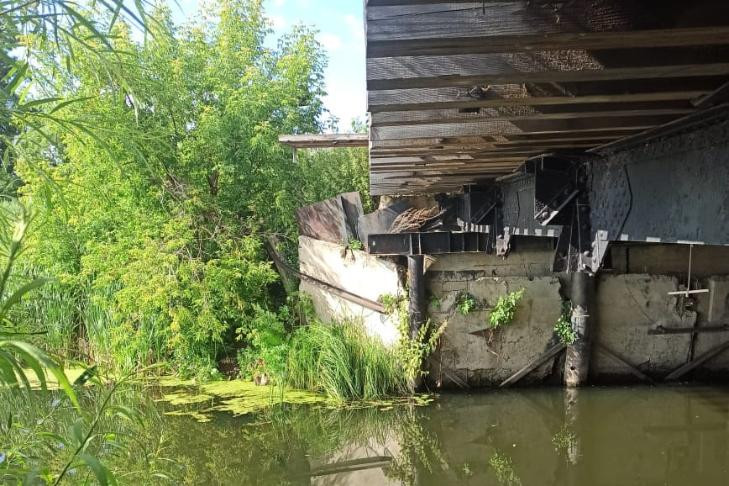 Сбросила с моста и утопила свою знакомую жительница Болотного