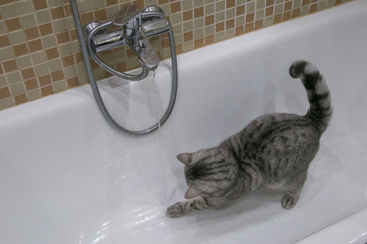 Пролежавшего пять дней в ванной новосибирца вызволили спасатели