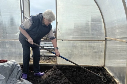 Жаркие праздники до +26: составлен прогноз погоды на май-2026 в Новосибирске