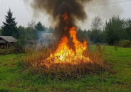 Куйбышевцев предупреждают: за сухостой на участке оштрафуют