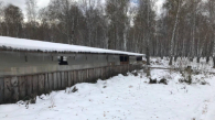 Построил не в том месте: прокуратура снесла ферму новосибирца