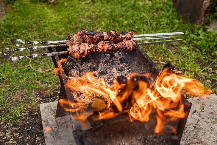 Шашлык на природе может стоить новосибирцам 20 тысяч рублей